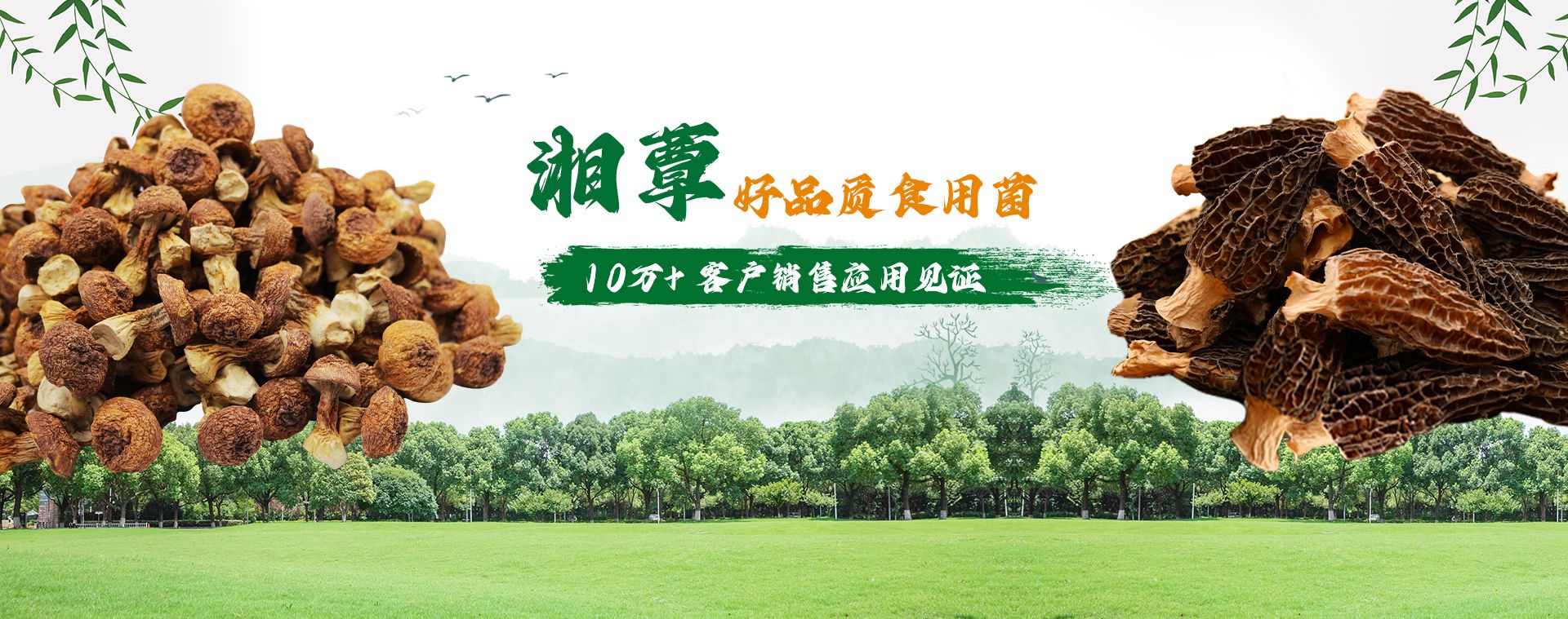 產品中心